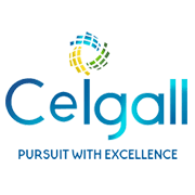 Ceigall India gains after emerging as L1 bidder from GMADA