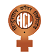 Hindustan Copper surges as global copper prices strengthen
