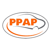 PPAP Automotive fixes record date for dividend