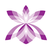 Royal Orchid Hotels Ltd leads losers in 'B' group