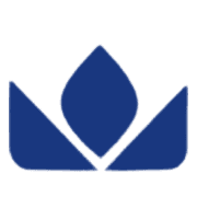 State Trading Corporation of India consolidated net profit declines 64.23% in the June 2025 quarter