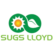 Sugs Lloyd standalone net profit rises 88.60% in the June 2025 quarter