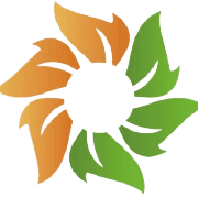 Solara Active Pharma Sciences Ltd leads gainers in 'A' group